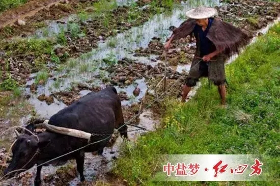 一些長期研究該問題的農(nóng)學(xué)家認(rèn)為，過去數(shù)千年的現(xiàn)實(shí)告訴我們，這一思路可能是錯(cuò)誤的，那些純天然耕作的土地并沒有表現(xiàn)出“肥力十足”。相反，這種做法加速了土壤肥力的減退。