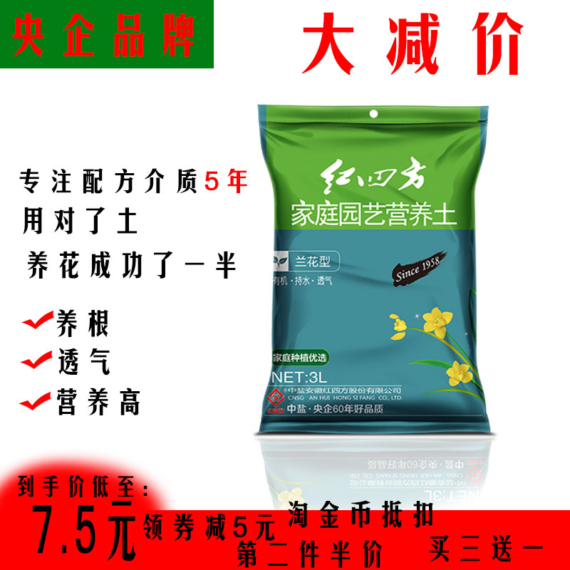 蘭花土活動